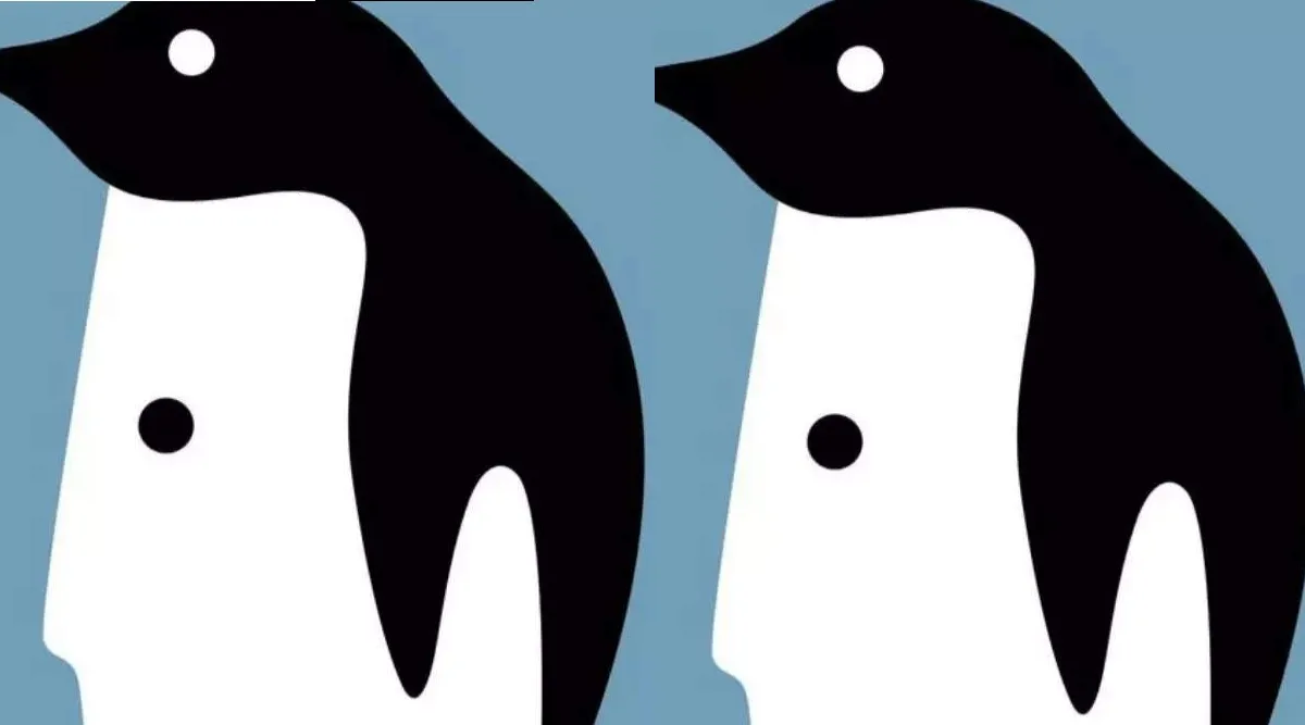 optical illusion; find out in new seconds, 'penguin or man'