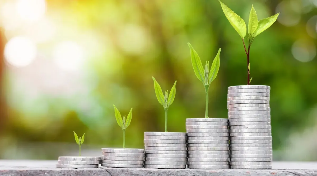 What are Green Deposit? And how to invest Tamil News