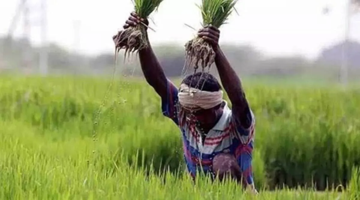 PM-KISAN Samman Nidhi beneficiary list and Step-by-step guide to check online