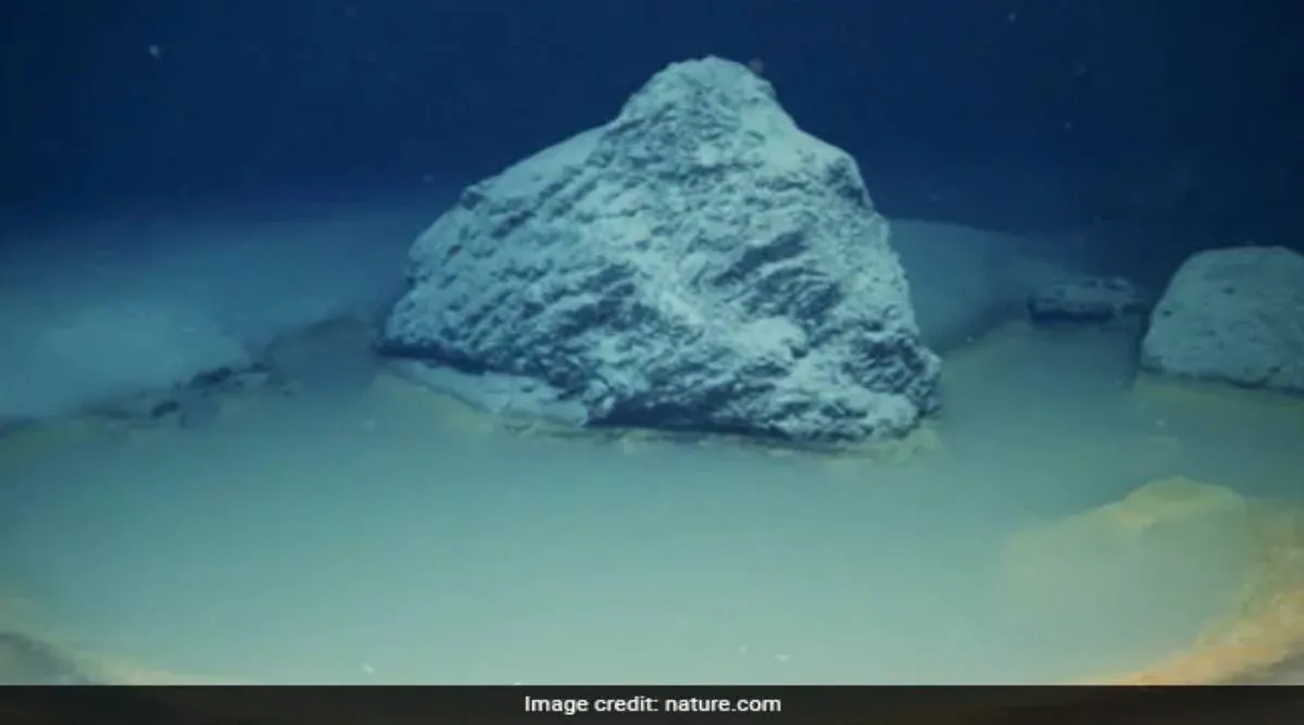 Scientists Discovers deadly pool at bottom Of Red Sea, deadly pool kills anything That Swims into it, Red Sea, செங்கடல் அடியில் அபாயகரமான குளம், கடலுக்கு அடியில் உள்ள குளத்தில் யார் நீந்தினாலும் மரணம்தான், deadly pool, brine pool, University of Miami, Sam Purkis, lethal underwater pool, underwater pool