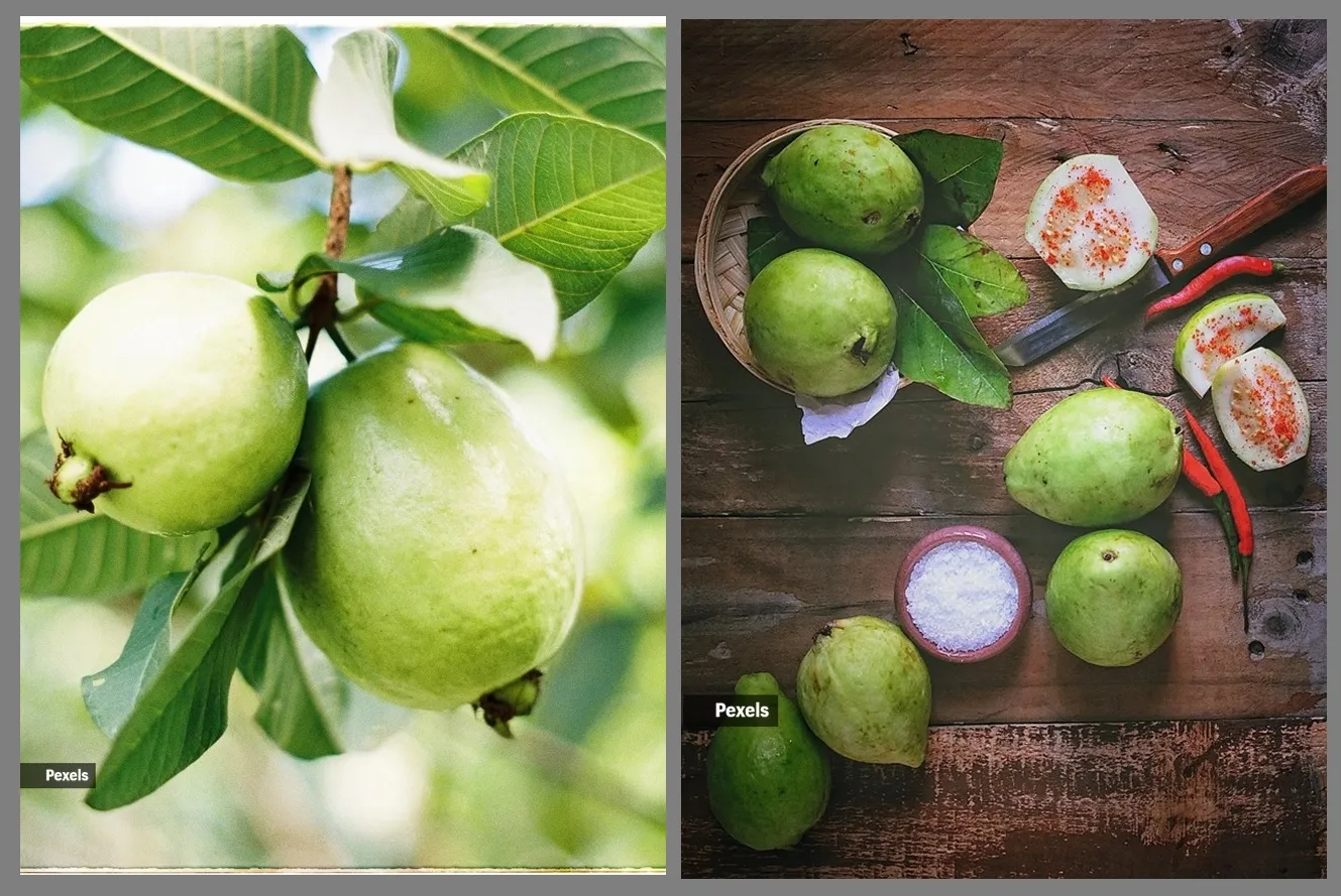 guava leaf beauty tips