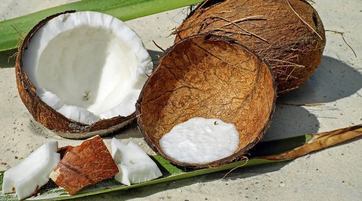 Kitchen Hacks in tamil: How To Open A Coconut Without Making much damage