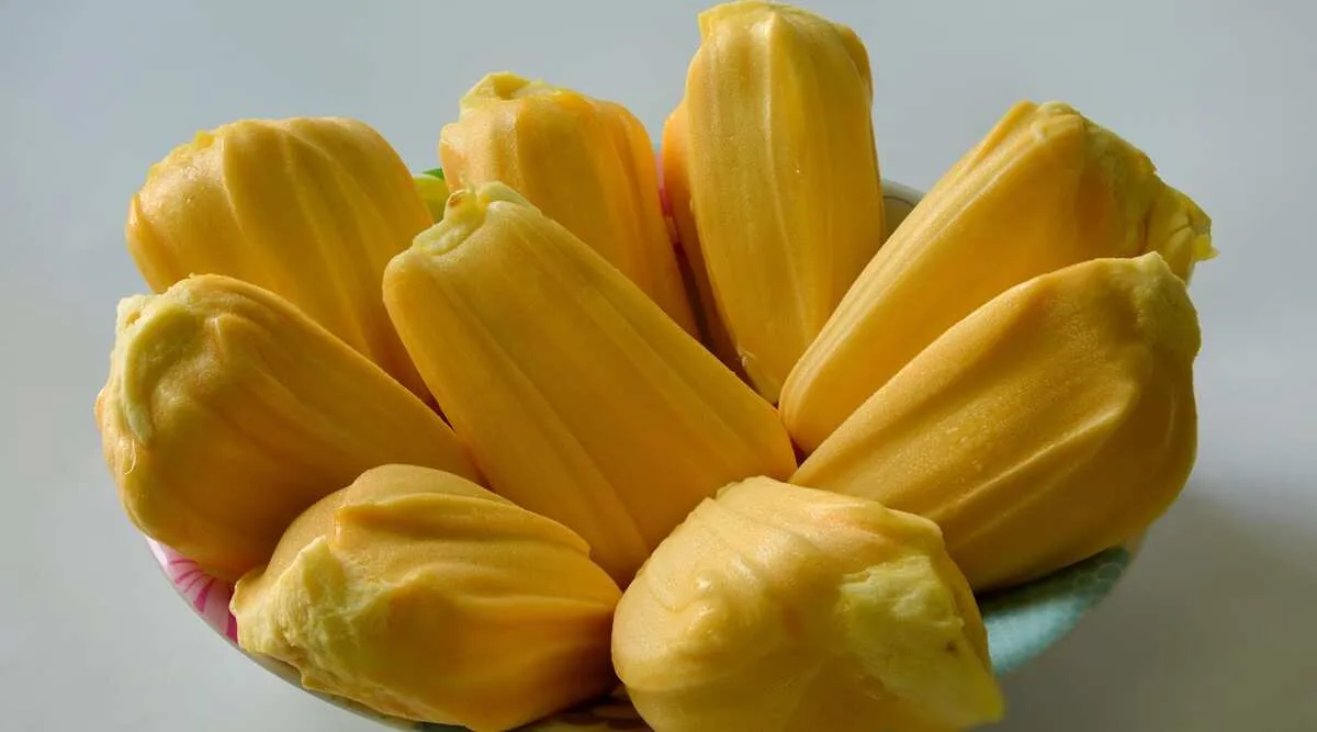 What are the Health Benefits of Jackfruit