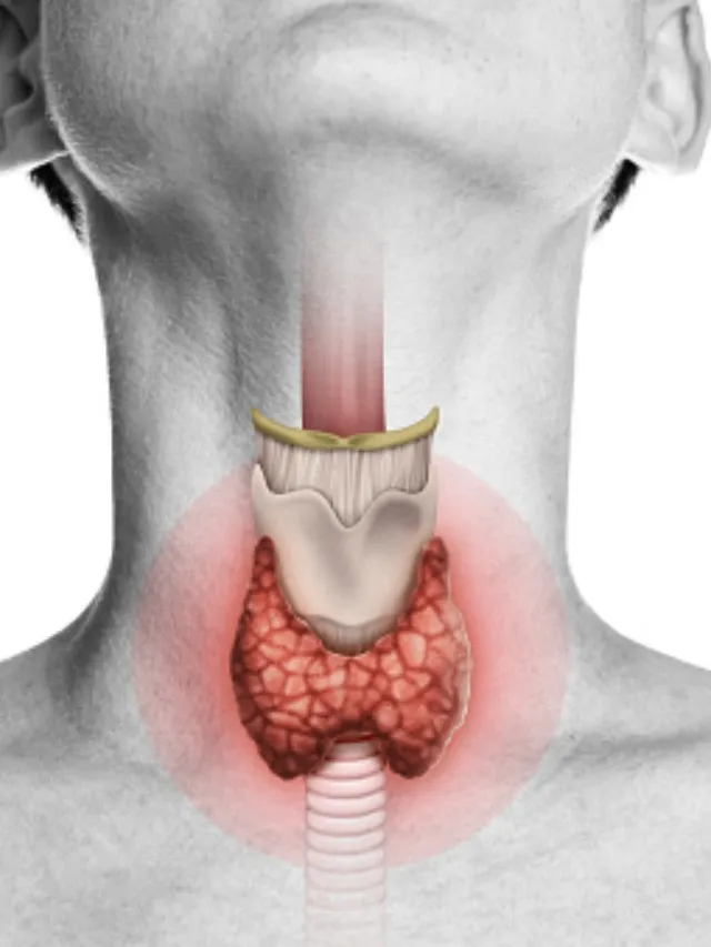 thyroid 2 - unsplash (1)