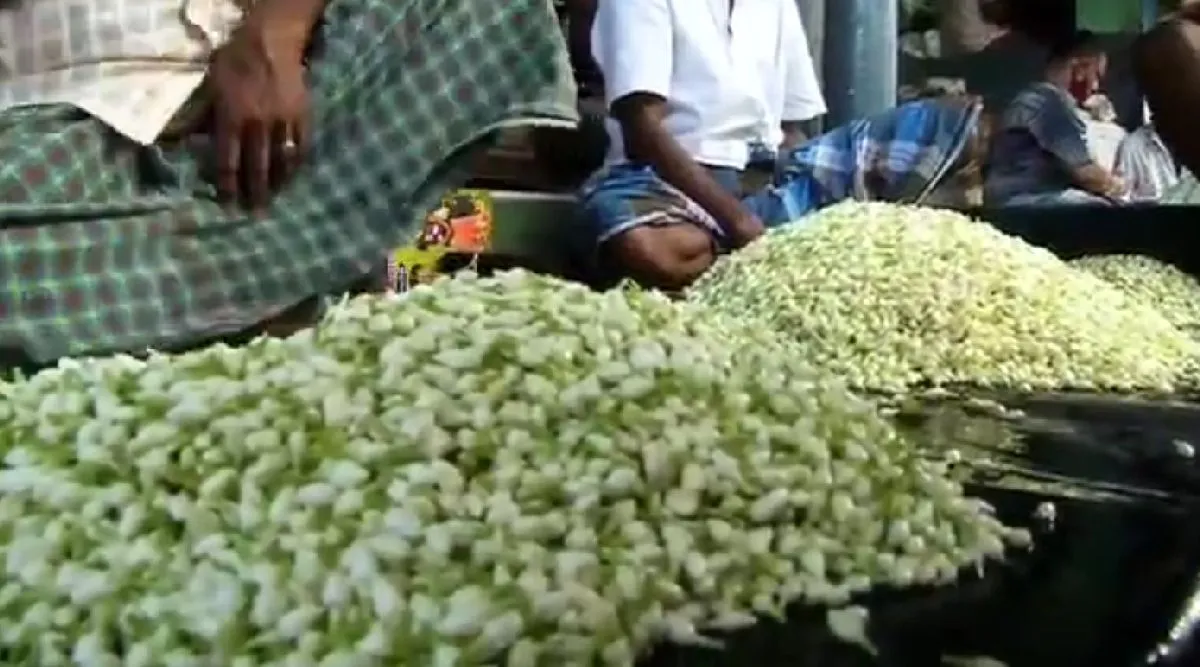 Madurai Flower Price Today in tamil; Jasmine (Malli Poo) per kg rs.1500