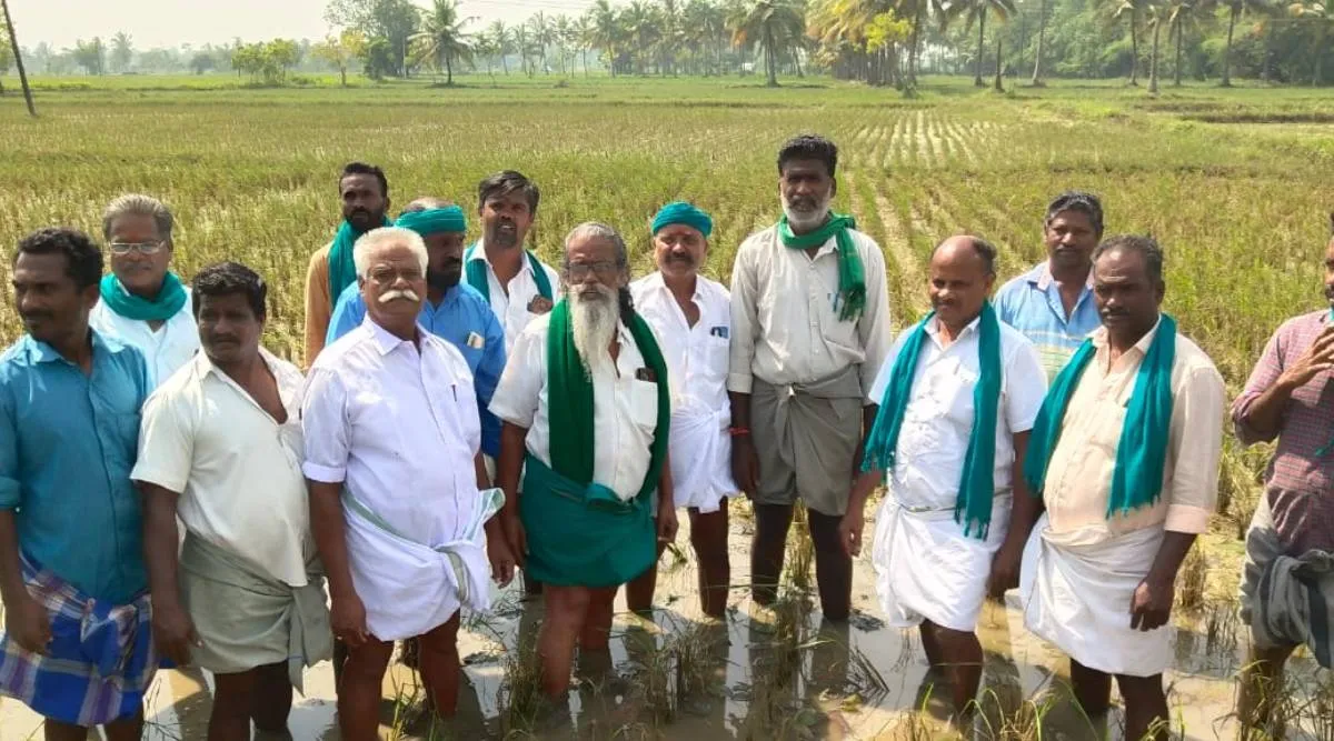 farmer association leader Ayyakannu, Seerkazhi flood, Mayiladuthurai rain, flood affect, tamilnadu, ayyakkannu, paddy, அய்யாக்கண்ணு, மழை பாதிப்பு, மயிலாடுதுறை, சீர்காழி,
