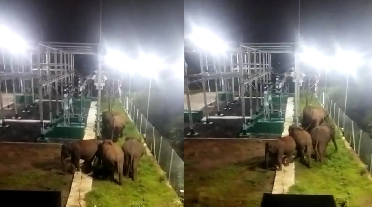 Coimbatore: Wild elephants entered the power station video goes viral