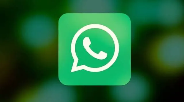How to use LIC WhatsApp service