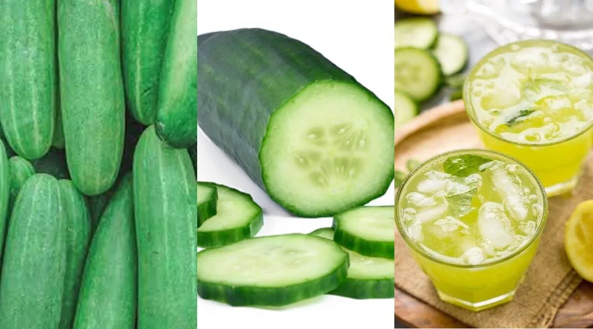 cucumber, cucumber lemon juice, cucumber juice, cucumber benefits for diabetes, வெள்ளரி ஜூஸ், வெள்ளரி லெமன், சர்க்கரையைக் கட்டுப்படுத்த வெள்ளரி, sugar level spike, blood sugar high level spike