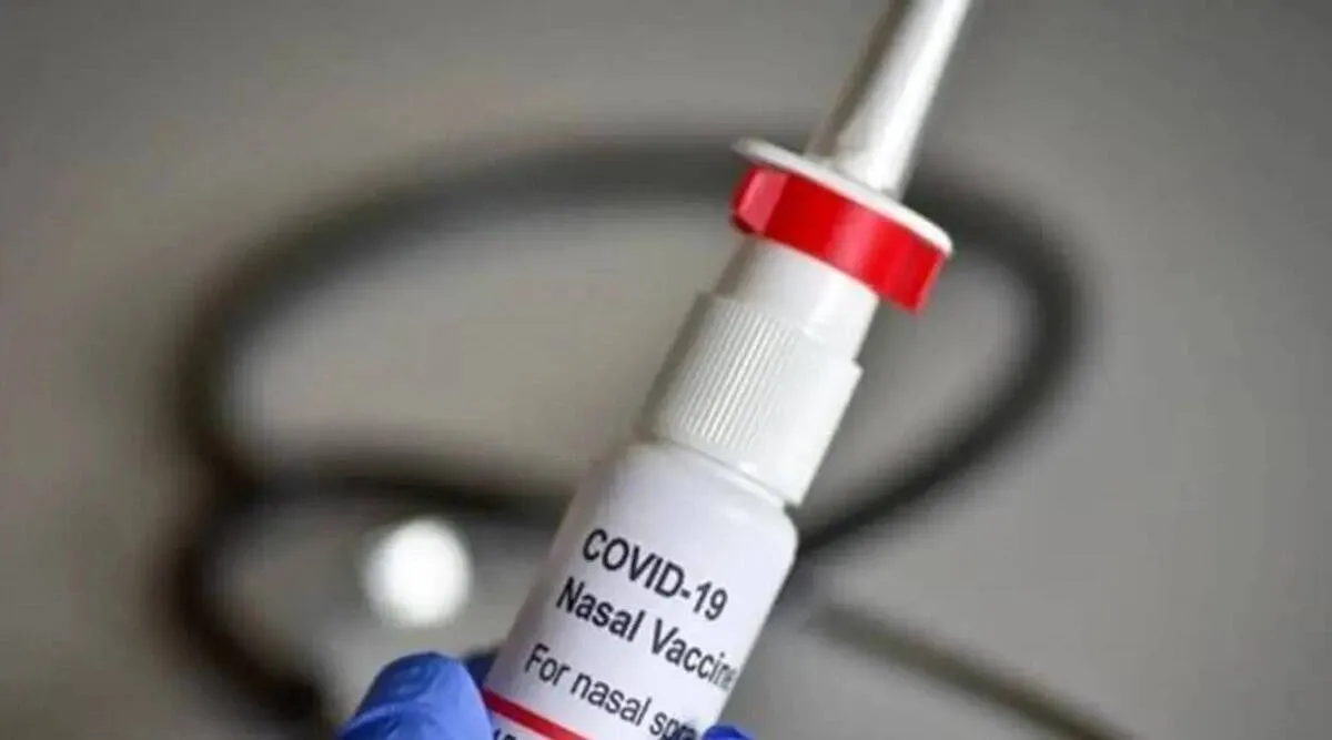 Covid-19 Bharat Biotechs intranasal vaccine to cost Rs 800 for private Rs 325 for government supplies