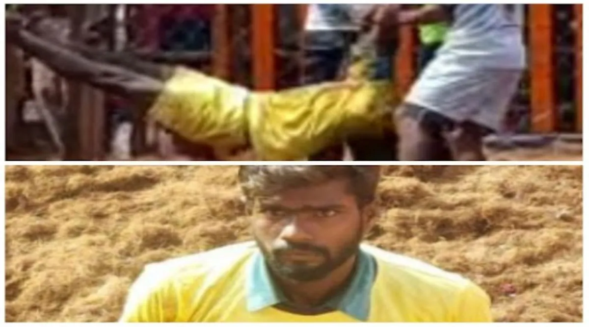 Madurai Bull tamer dies after being critically injured in Palamedu Jallikattu