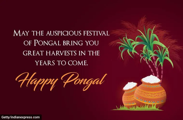 Happy Pongal 2023: வண்ண மயமான பொங்கல் வாழ்த்து அட்டைகள்- Quotes; இதை யூஸ் பண்ணுங்க மக்களே!
