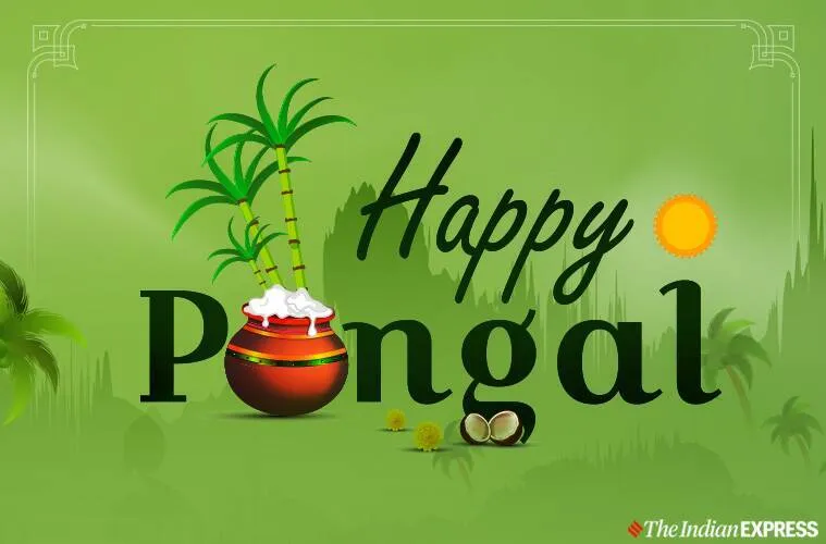 Happy Pongal 2023 Best Messages Quotes