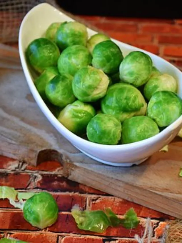 brussels-sprouts-1856711__340 (1)