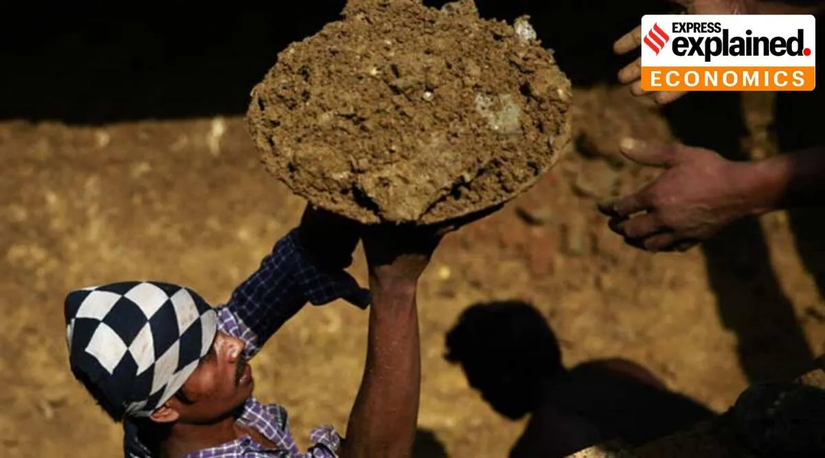 What could be the govts calculations behind the slashing of the MGNREGA budget