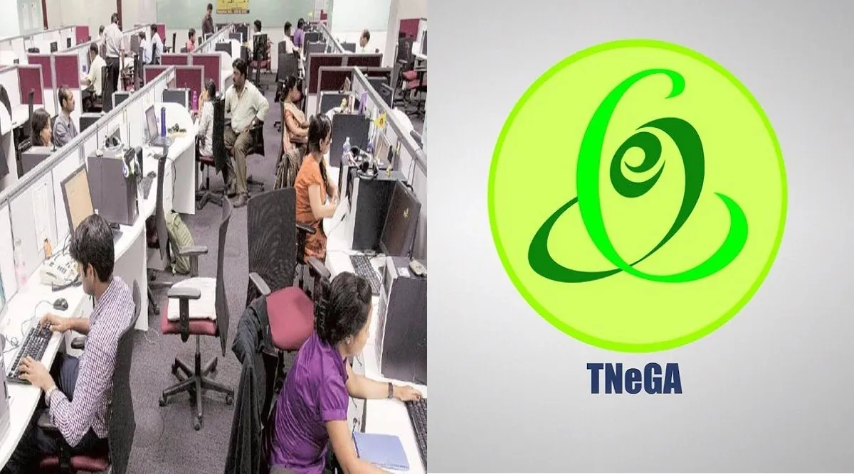 TNeGA jobs; தமிழக அரசின் ஐ.டி வேலை வாய்ப்பு; டிகிரி, இன்ஜினியரிங் படித்தவர்கள் உடனே விண்ணப்பிங்க!