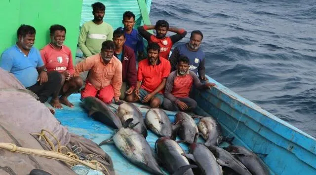 10 fishermen on Tamil Nadu trawler arrest in Gujarat, hunting dolphins, Gujarat, Tamil Nadu, டால்ஃபின்களை வேட்டையாடிய தமிழக மீனவர்கள், தமிழக மீனவர்கள் 10 பேர் குஜராத்தில் கைது