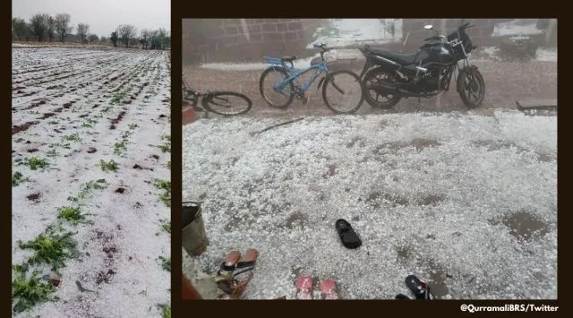 Unseasonal hailstorm hits Telangana, Vikarabad hail, climate change, Vikarabad crop damage, hailstorm, indian express