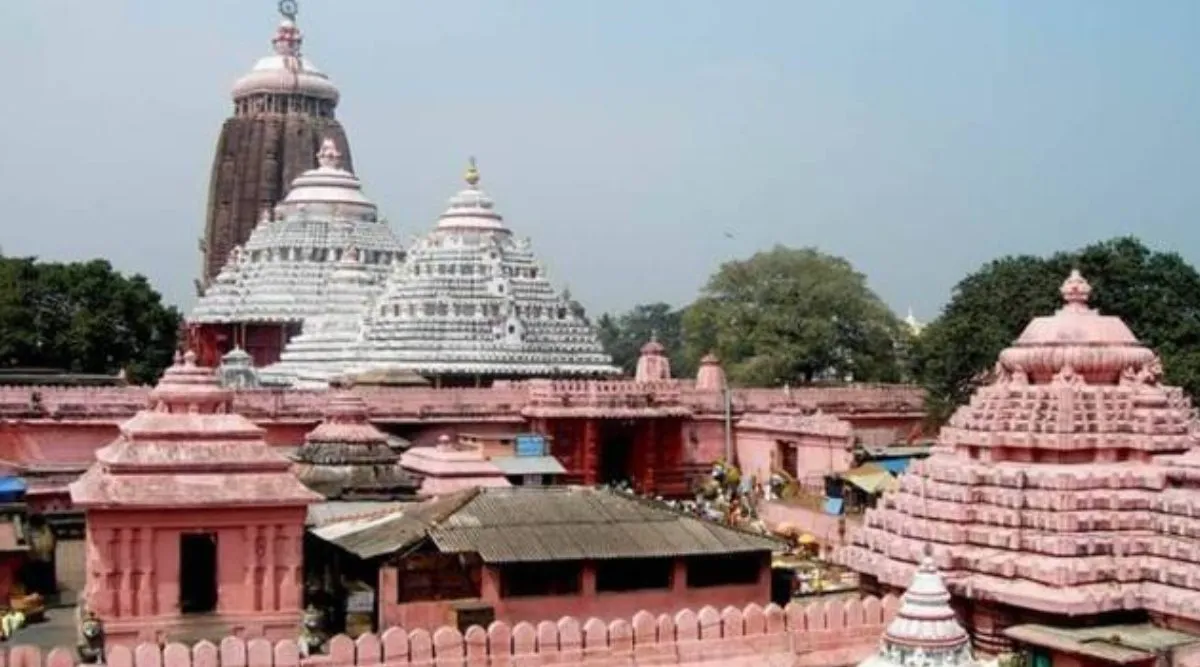 Puri Jagannath temple, Puri Jagannath, Puri Jagannath temple Rats, rat menace Puri Jagannath temple, Puri Jagannath temple ticket, Indian express