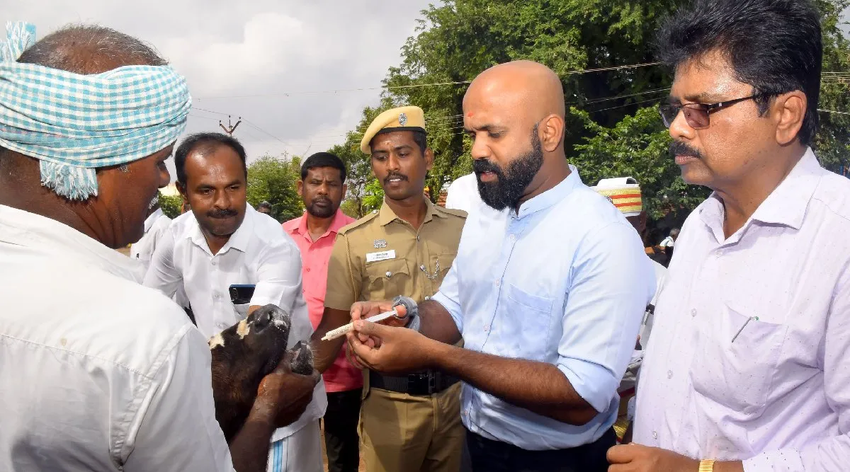 Ramanathapuram: Collector launched rabies vaccination camp for cattle Tamil News