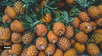 Pineapple fruit prevents cancer