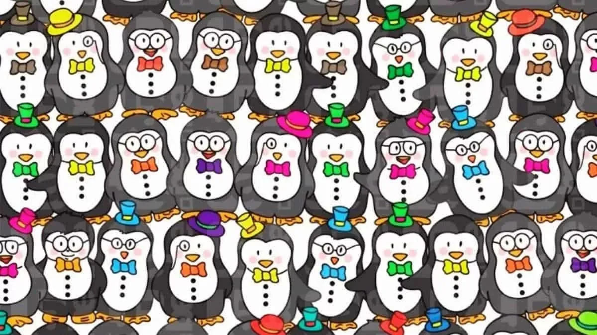 if you can find a doll among the penguins in 8 seconds